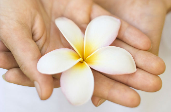maui Yoga Retreats