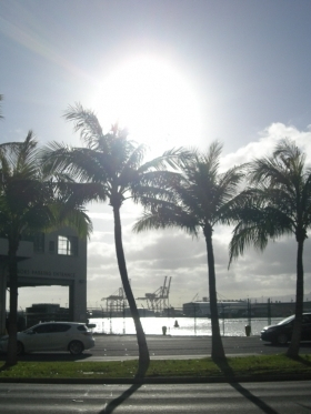 Local information in HONOLULU Oahu, Hawaii