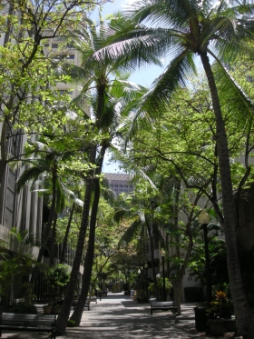 Local information in HONOLULU Oahu, Hawaii