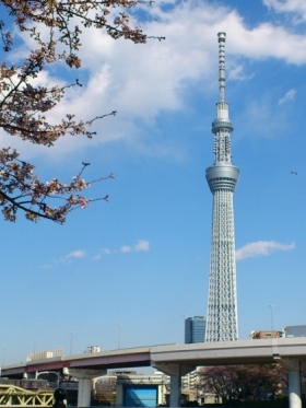 Local information in TOKYO, Japan