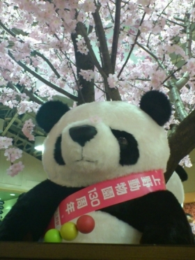 Local information in TOKYO, Japan