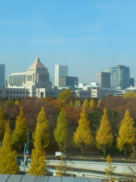 Local information in TOKYO, Japan