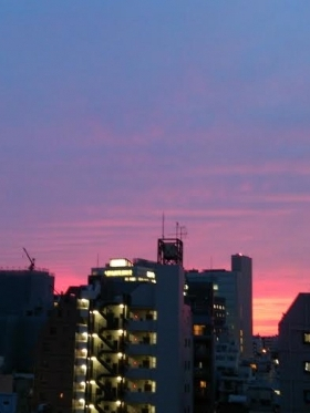 Local information in TOKYO, Japan