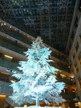 Local information in TOKYO, Japan