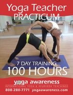 Yoga Teacher Training Practicum YAT600/RYT500 in Honolulu, Hawaii 201910 level 2 yat600 ryt500 yoga teacher practicum w150