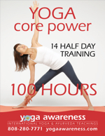 Yoga Core Power Training Level 2 in Honolulu, Hawaii 201910 level 2 yoga core power training w150
