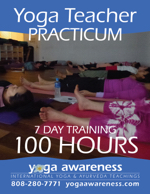 Yoga Teacher Training Practicum YAT300/RYT200 in Port Angeles, Washington 201911 level 1 yat300 ryt200 yoga teacher practicum w150
