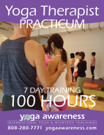 Yoga Teacher Practicum YAT900 in Tamil Nadu, India 201911 level 3 yat900 yoga therapist practicum w150