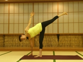 Yoga Awareness Hawaii Yoga Ayurveda BODY trainings in Honolulu Oahu HAWAII and Tokyo Yokohama JAPAN