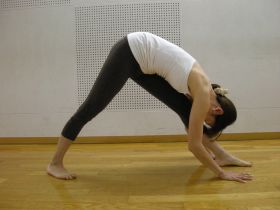 Yoga Awareness Hawaii YAT LEVEL 1 Yoga Ayurveda SELF training in Honolulu, Oahu
