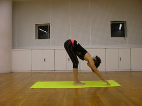 Yoga Awareness Hawaii YAT LEVEL 1 Yoga Ayurveda SELF training in Honolulu, Oahu