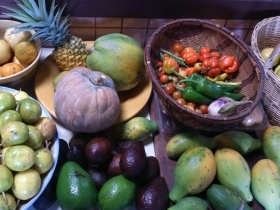 Yoga Awareness Hawaii YOGA AYURVEDA THERAPIST training in Honolulu, Oahu