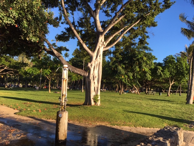 20181024 waikiki barefoot beach cafe IMG 5570